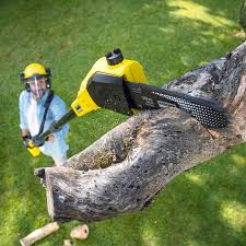 Best Lot and Land Clearing  in West Modesto, CA